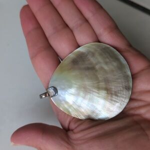 Shell pendant